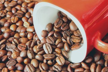 Petite histoire du café en Europe