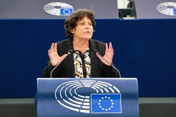 Nuova traduzione : L'écocide bientôt reconnu comme crime par le Parlement européen